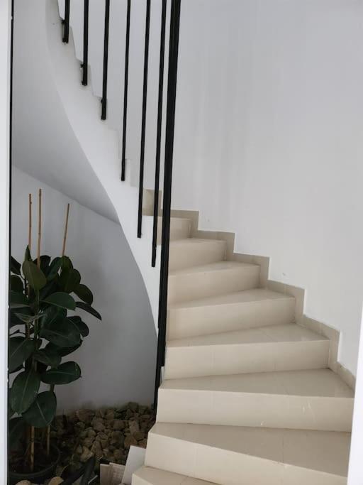 Contempory Exclusive Sitges Area Villa Olivella Eksteriør billede